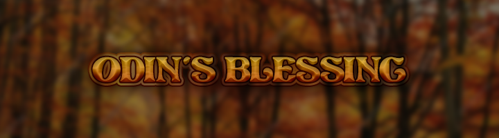 Odin's Blessing Banner