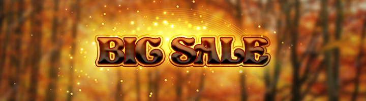 Big Sale Banner